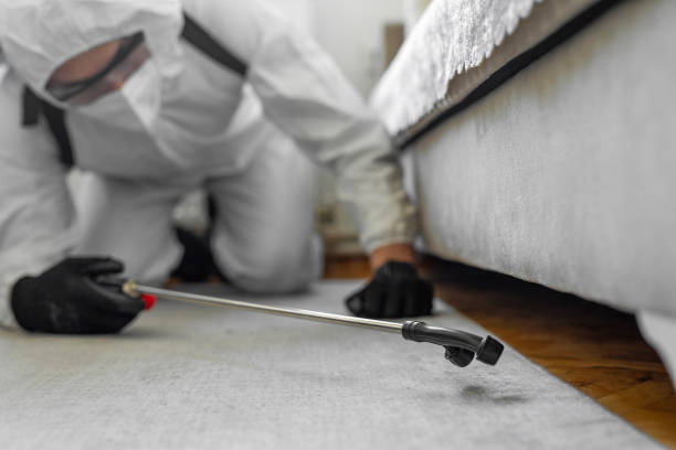Professional Cockroach Control technician working in Lockport Heights, IL